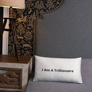 I Am A Trillionaire Basic Pillow - Trillionaire